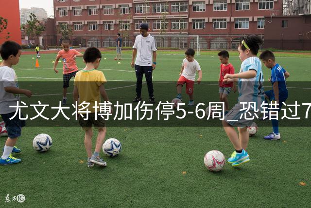 尤文大将博加伤停5-6周 恐错过7场关键赛事